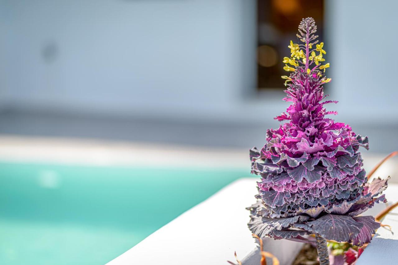Siete Mares Luxury Suites Imerovigli  Exterior foto